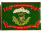 American Civil War Union Irish Brigade Flag Lapel Pin Badge